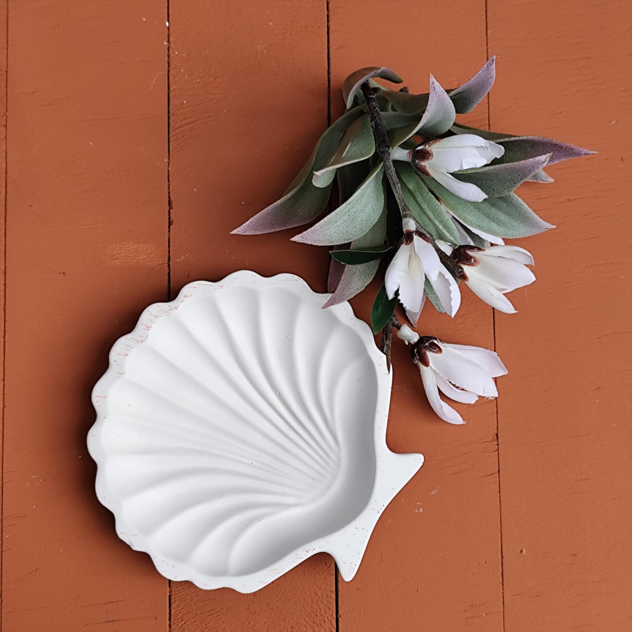 Schelp oester