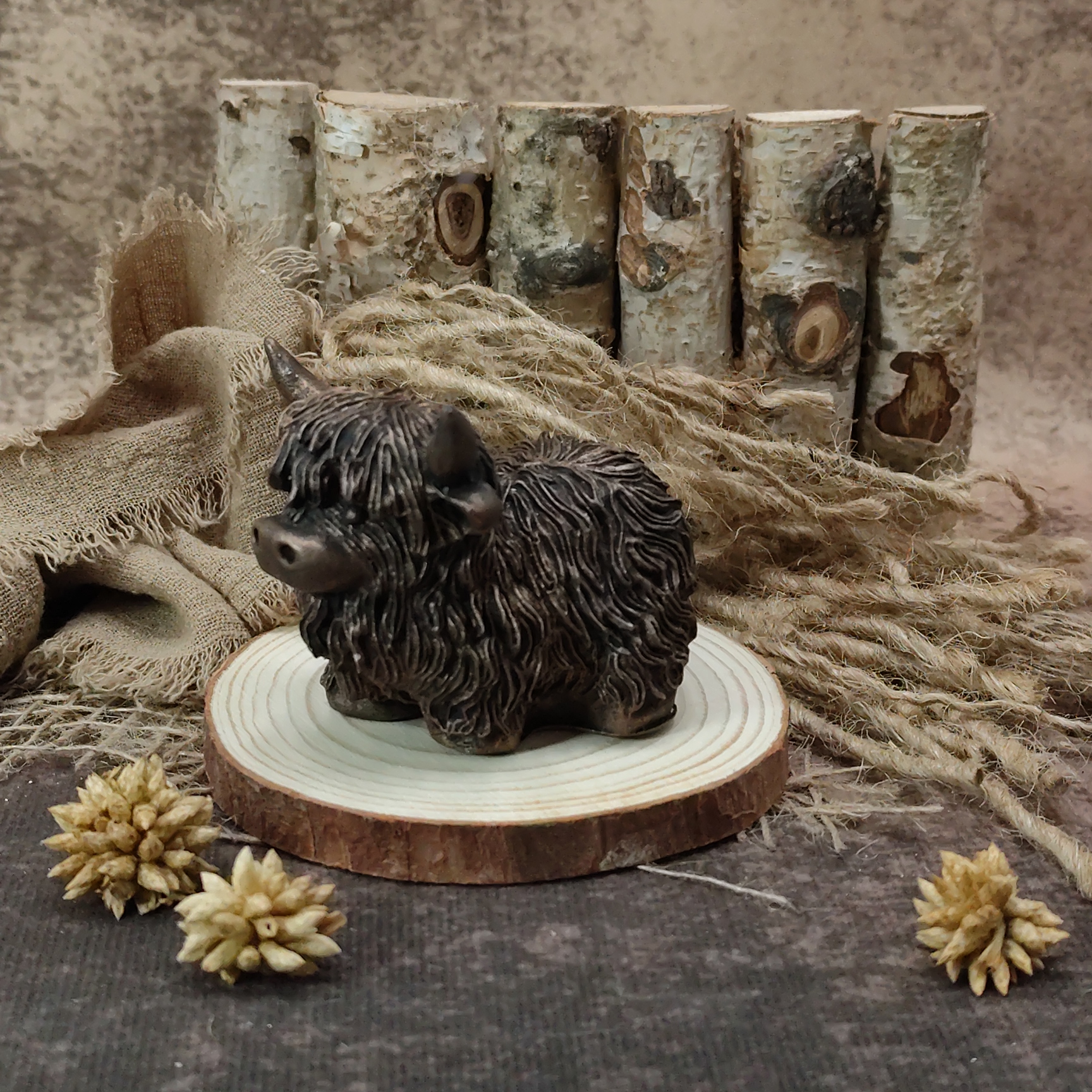 Hooglander - Afbeelding 3