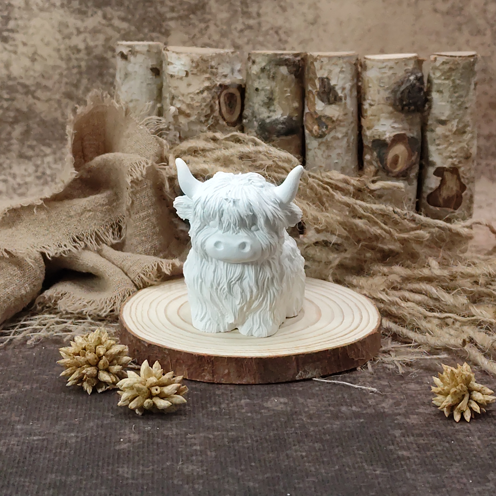 Hooglander zittend - Afbeelding 5