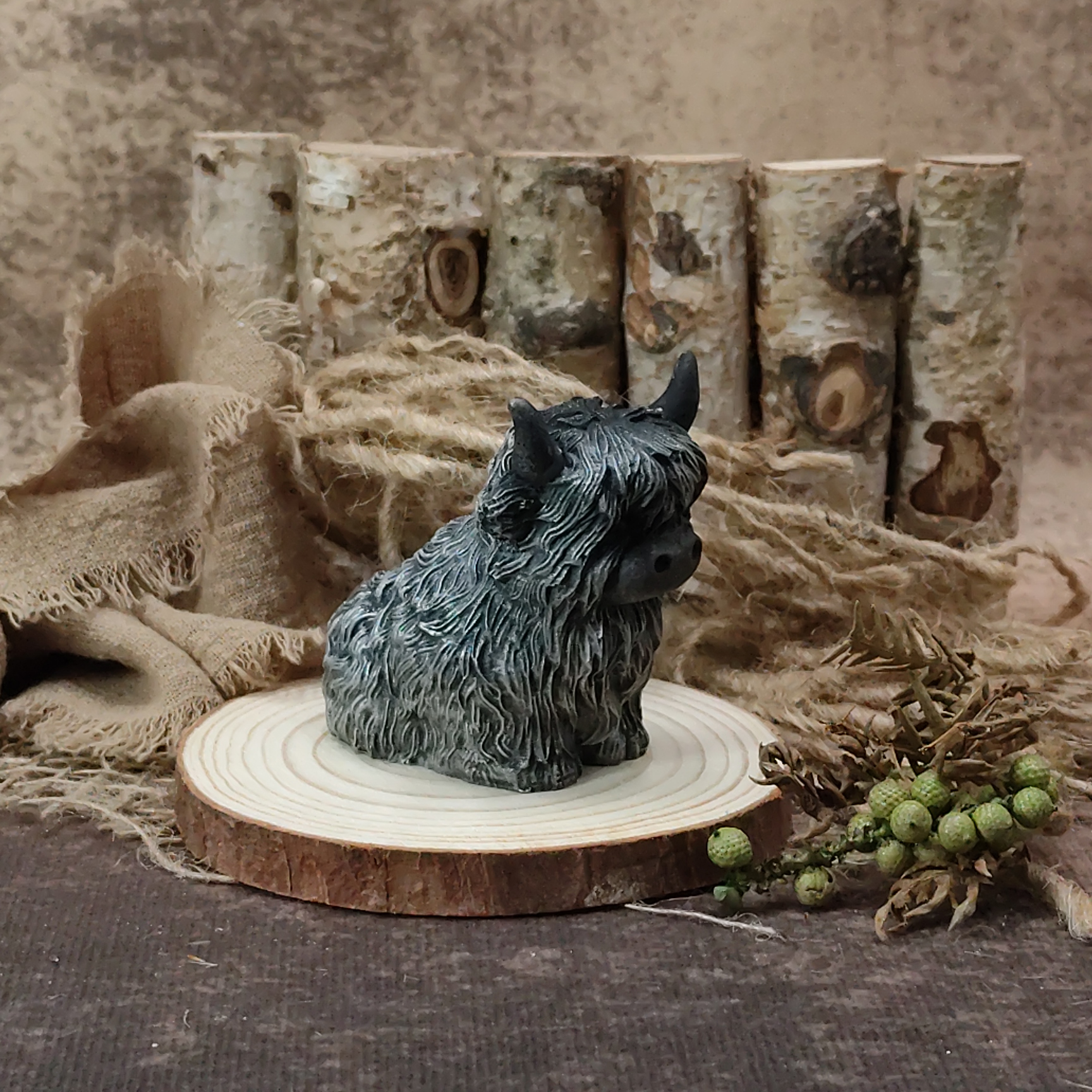 Hooglander zittend - Afbeelding 2