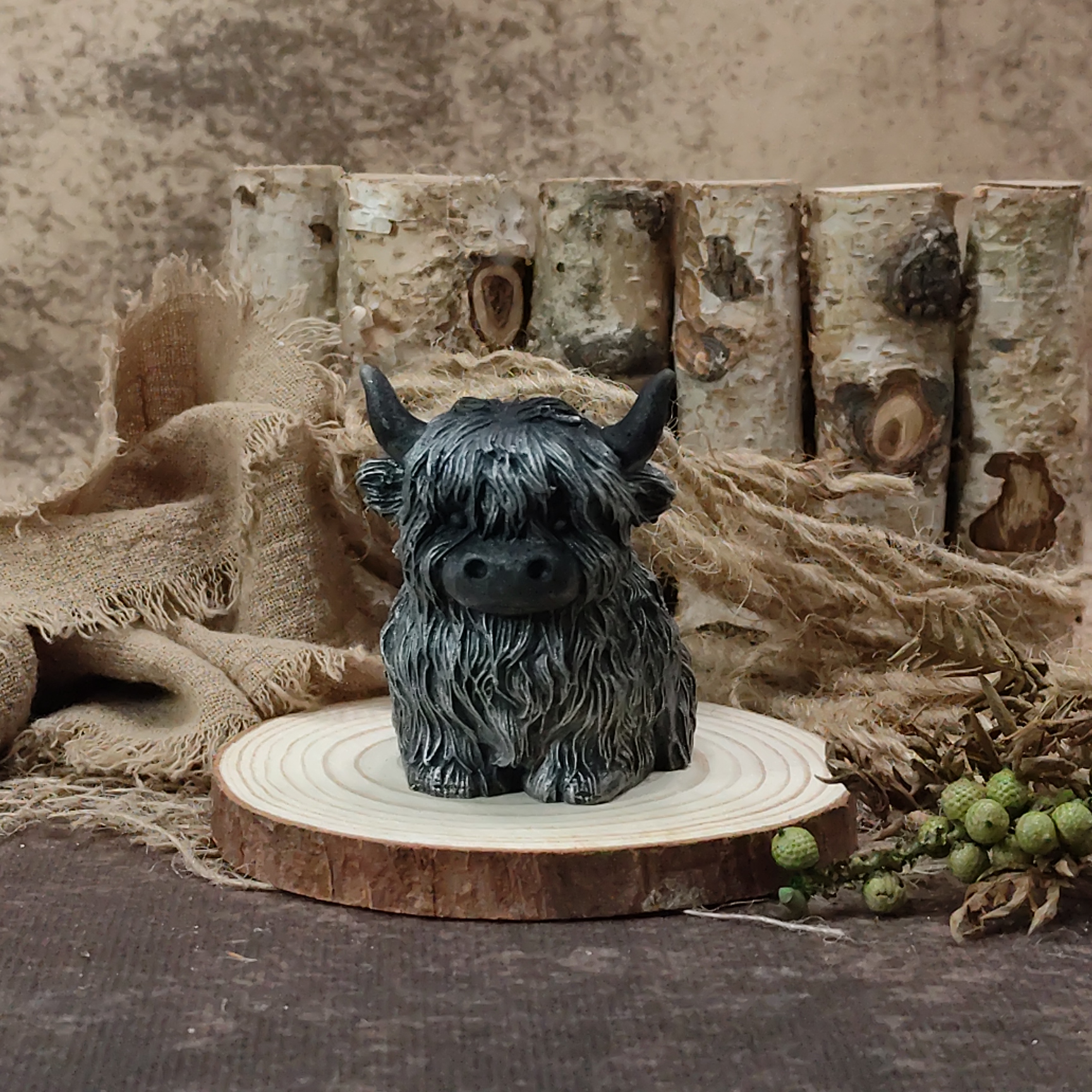 Hooglander zittend - Afbeelding 4