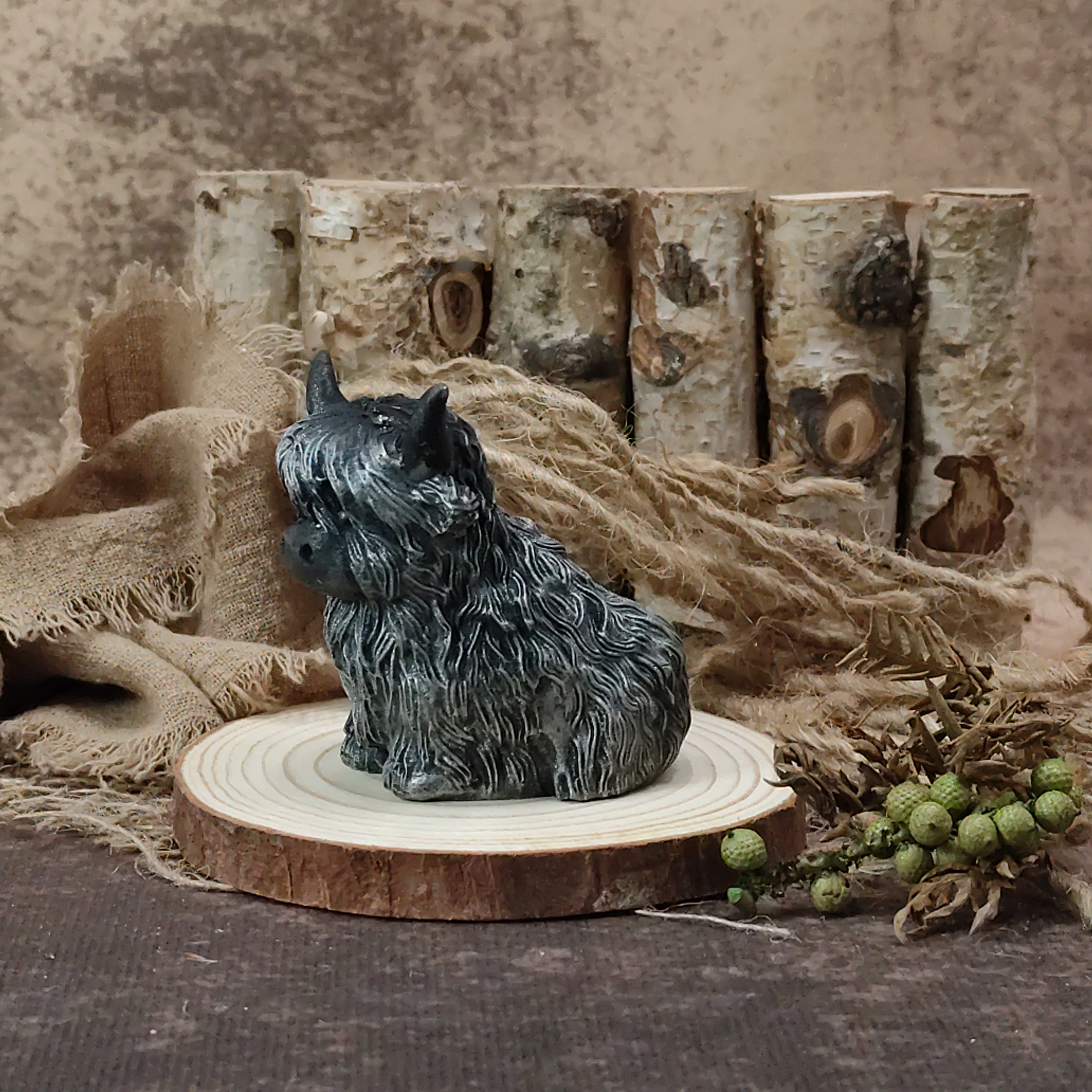 Hooglander zittend - Afbeelding 3