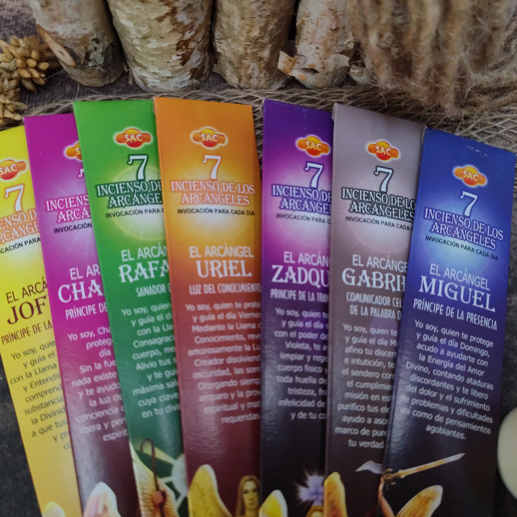 Aartsengelen wierrook - Afbeelding 3